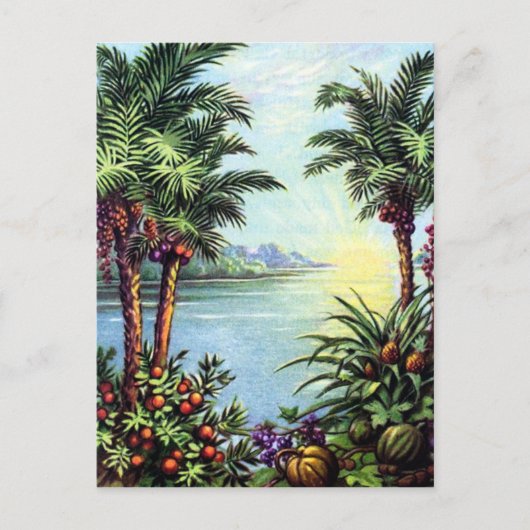 Vintage Island Postkarte (Vorderseite)