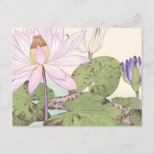 Vintage japanische Blumenkunst Pink Lotus Postkarte