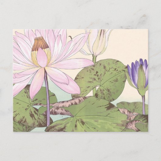 Vintage japanische Blumenkunst Pink Lotus Postkarte (Vorderseite)