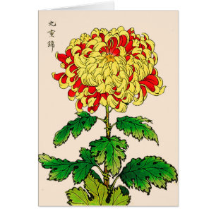 Vintage japanische Chrysantheme. Senf-Gelb