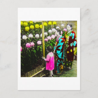 Vintage japanische Familie auf Chrysanthemum Show Postkarte