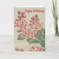 Vintage-Japanische-Fein-Kunst-Kirschblüten-Geburts