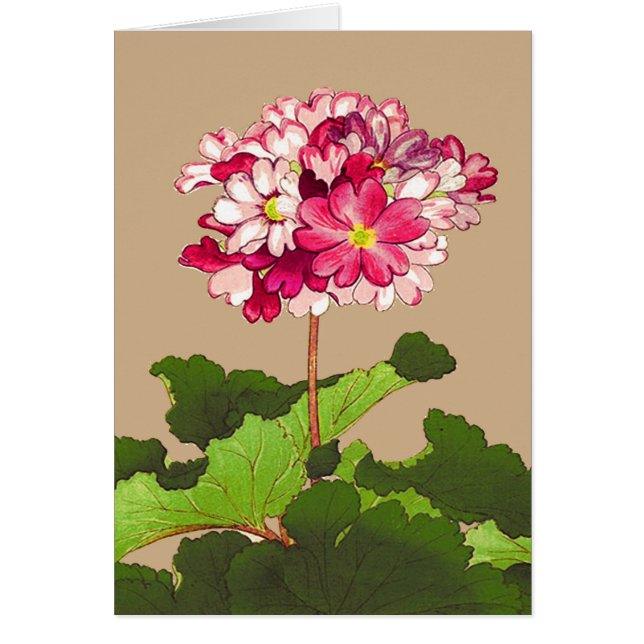 Vintage japanische Hydrangea. Rosa und Grün (Vorne)