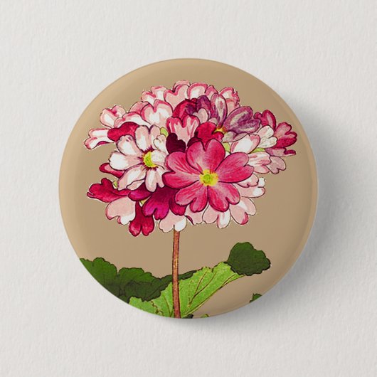 Vintage japanische Hydrangea. Rosa und Grün Button (Vorderseite)
