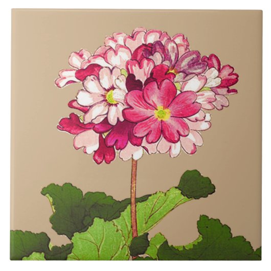 Vintage japanische Hydrangea. Rosa und Grün Fliese (Vorderseite)