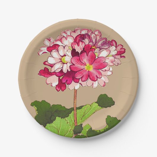 Vintage japanische Hydrangea. Rosa und Grün Pappteller (Vorderseite)