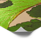 Vintage japanische Hydrangea. Rosa und Grün Poster (Ecke)