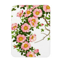 Vintage japanische Kirschblüten, rosa und gold