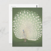 Vintage japanische Kunst | Pfau Postkarte (Vorne/Hinten)