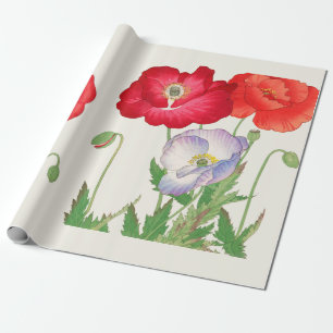 Vintage Japanische Mohn Botanische Kunst 1917 Geschenkpapier