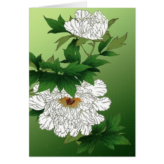 Vintage japanische Skizze für große weiße Peony (Vorne)