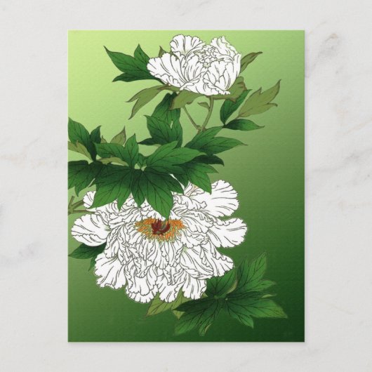 Vintage japanische Skizze für große weiße Peony Postkarte (Vorderseite)