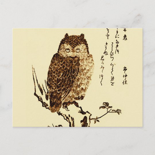 Vintage Japanische Tintenzeichnung Einer Eule Postkarte Zazzle De