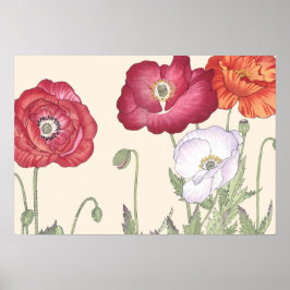 Vintage japanische Ukiyo Art Poppy Blume Poster