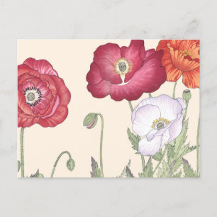 Vintage japanische Ukiyo-Kunst Mohnblumen Postkarte