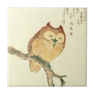 Vintage-Japanischer-Fine-Art-Druck Eule auf eine Fliese