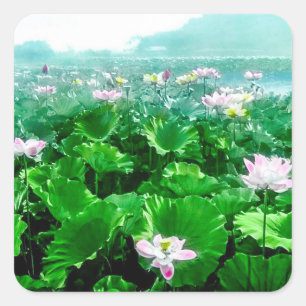 Vintage Japanischer Lotus Teich Altes Japan Quadratischer Aufkleber