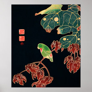 Vintage Japanischer Papageienvogel Poster Druck