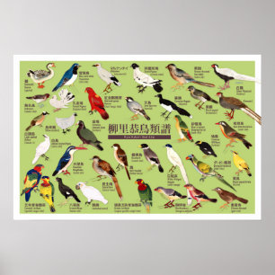Vintage-Japanischer-Vogelatlas-Illustration Poster