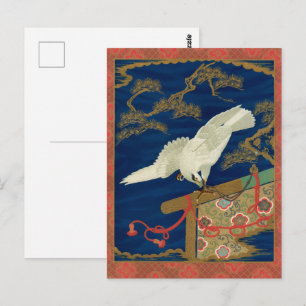 Vintage Japanischer Weißer Falke Art G.A. Audsley Postkarte