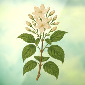 Vintage-Jasmin Fensteraufkleber (Blatt 3)