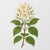 Vintage Jasmine Fensteraufkleber (Blatt)