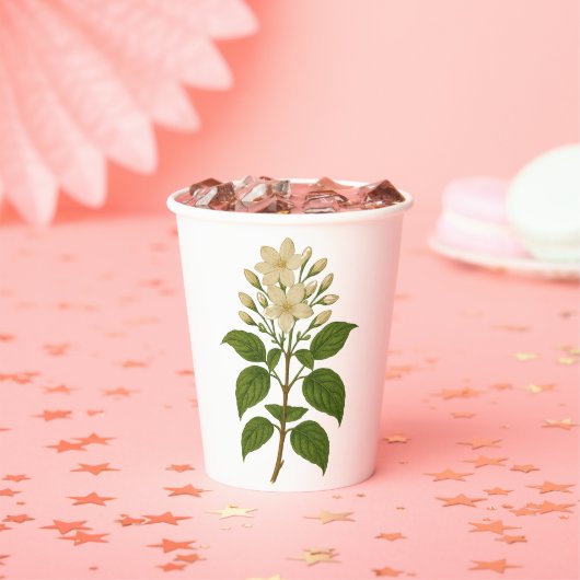 Vintage Jasmine Pappbecher (Insitu)