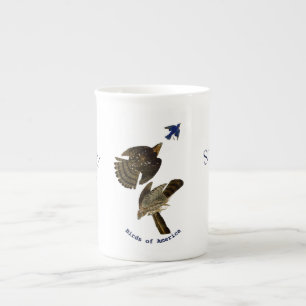 Vintage John Audubon Stanley Hawk Porzellantasse