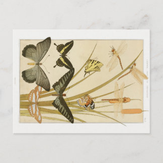 Vintage Jugendstil-Schmetterlinge & Cattails Postkarte