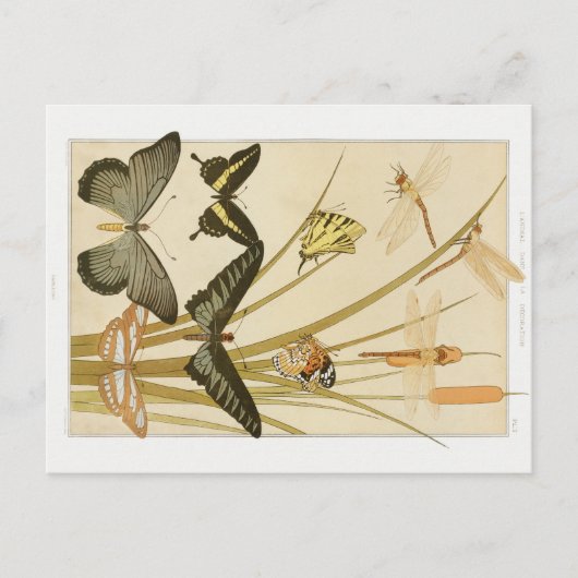 Vintage Jugendstil-Schmetterlinge & Cattails Postkarte (Vorderseite)
