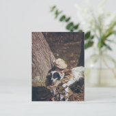 Vintage Junge und sein Jagdhund Postkarte (Stehend Vorderseite)