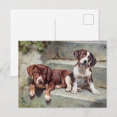 Vintage Jungtiere Postkarte (Vorne/Hinten)