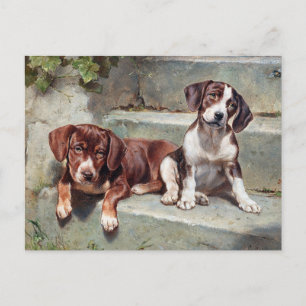 Vintage Jungtiere Postkarte