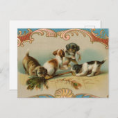 Vintage Jungtiere Postkarte (Vorne/Hinten)