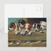 Vintage Jungtiere Postkarte (Vorne/Hinten)