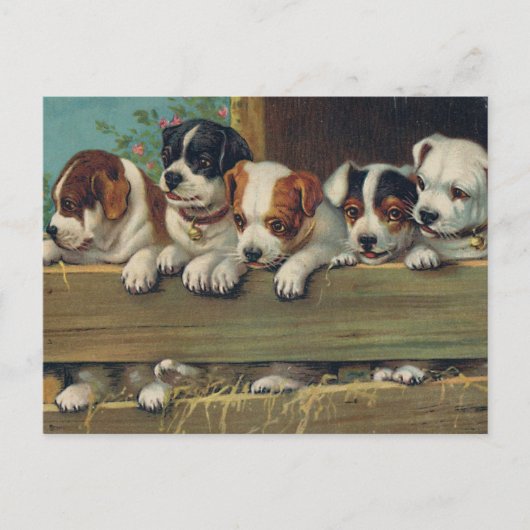 Vintage Jungtiere Postkarte (Vorderseite)