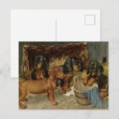 Vintage Jungtiere Postkarte (Vorne/Hinten)