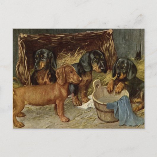 Vintage Jungtiere Postkarte (Vorderseite)