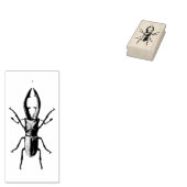 Vintage Käfer-Abbildung Gummistempel (Stempel)