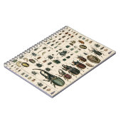 Vintage Käfer-Illustration Notizblock (Linke Seite)