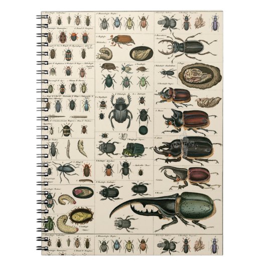 Vintage Käfer-Illustration Notizblock (Vorderseite)