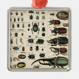 Vintage Käfer-Illustration Silbernes Ornament