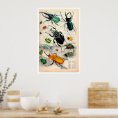 Vintage Käfer Print Poster (Küche)