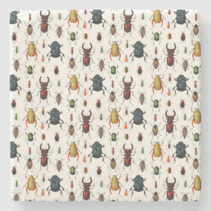 Vintage Käfer Steinuntersetzer