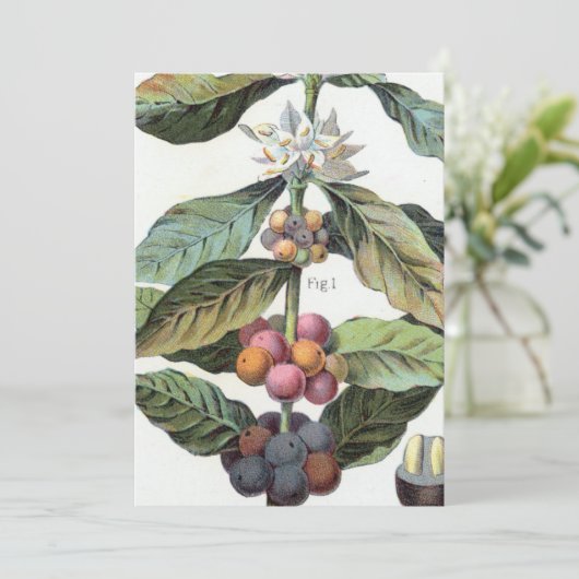 Vintage Kaffeebohnen Einladung (Stehend Vorderseite)