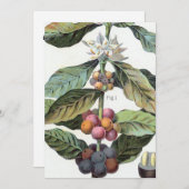 Vintage Kaffeebohnen Einladung (Vorne/Hinten)