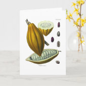 Vintage Kakaobohnenkarte Karte (Gelbe Blume)