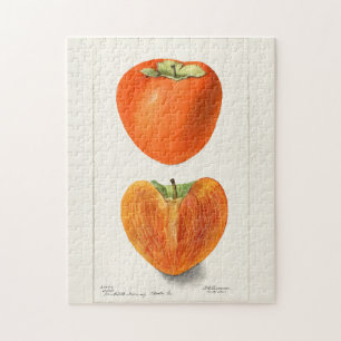 Vintage-Kakis-Frucht-Aquarellmalerei Puzzle