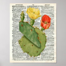 Vintage Kakteen Botanical Art auf Wörterbuchseite
