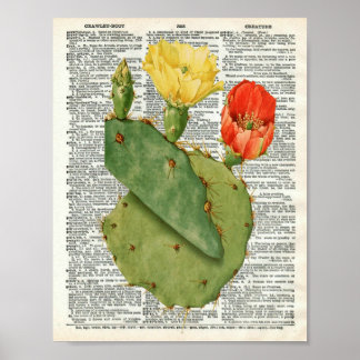 Vintage Kakteen Botanical Art auf Wörterbuchseite Poster